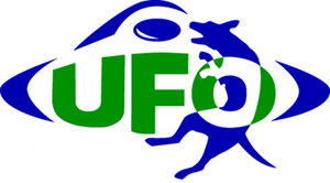 UFO World Cup